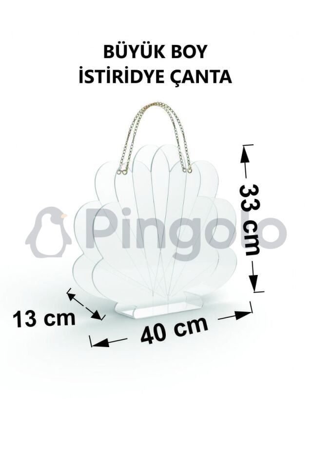 İstiridye Gold Aksesuarlı Şeffaf Akrilik Pleksi Çanta (İçi Boş)