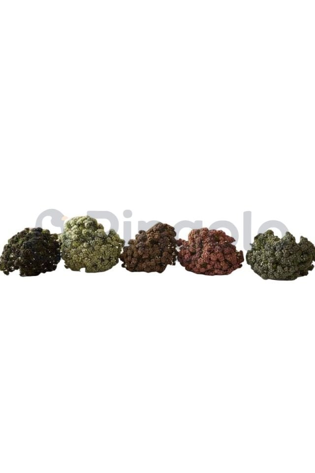 Sedum Cipso 9 Dallı Yapay Çiçek PNG-501