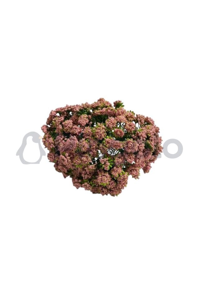 Sedum Cipso 9 Dallı Yapay Çiçek PNG-501 Pudra Pembe