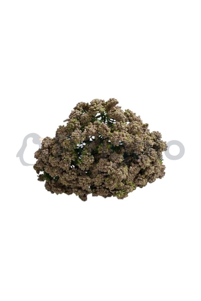 Sedum Cipso 9 Dallı Yapay Çiçek PNG-501 Kahverengi