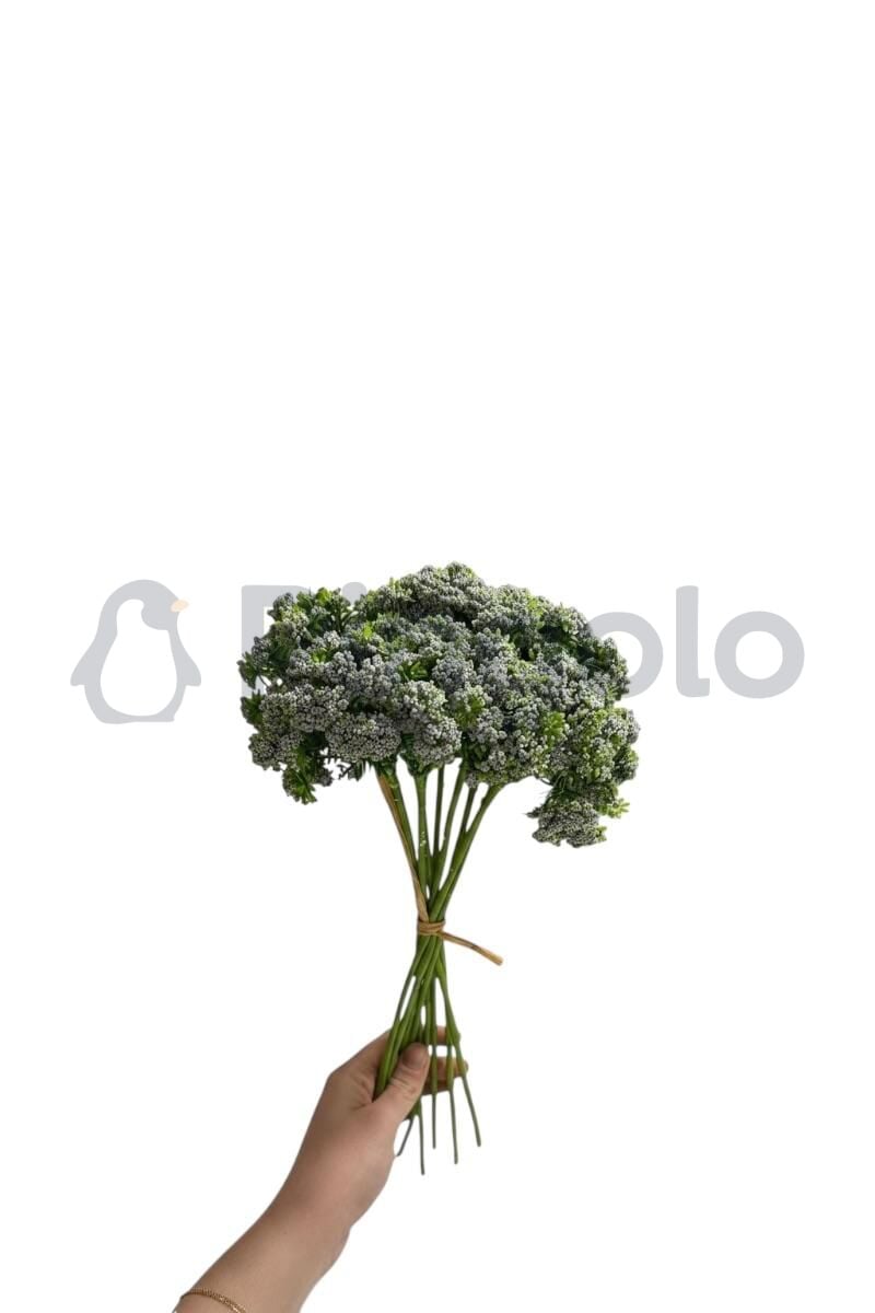 Sedum Cipso 9 Dallı Yapay Çiçek PNG-501 Gri