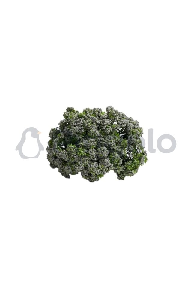 Sedum Cipso 9 Dallı Yapay Çiçek PNG-501 Gri