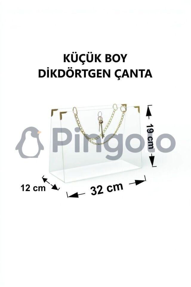 Dikdörtgen Gold Aksesuarlı Şeffaf Akrilik Pleksi Çanta (İçi Boş) Küçük Boy (32x19 cm)